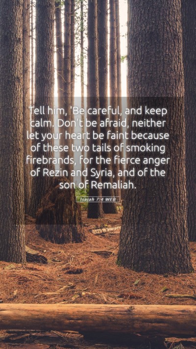 Picture 05 - Isaiah 7:4 WEB Mobile Phone Wallpaper - Tell him, 'Be careful, and keep calm. Don't be - Mobile Bible Verse Wallpaper