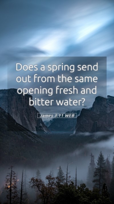 Picture 05 - James 3:11 WEB Mobile Phone Wallpaper - Does a spring send out from the same opening - Mobile Bible Verse Wallpaper