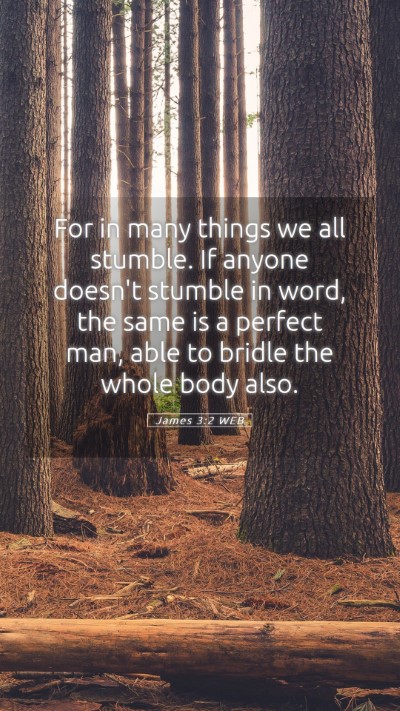 Picture 05 - James 3:2 WEB Mobile Phone Wallpaper - For in many things we all stumble. If anyone - Mobile Bible Verse Wallpaper