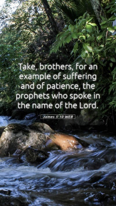 Picture 05 - James 5:10 WEB Mobile Phone Wallpaper - Take, brothers, for an example of suffering and - Mobile Bible Verse Wallpaper