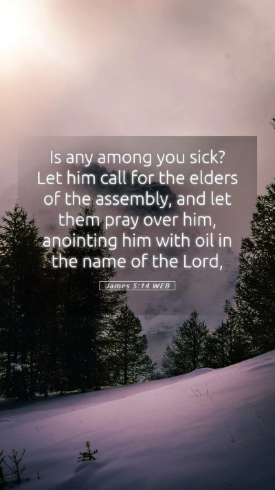 Picture 05 - James 5:14 WEB Mobile Phone Wallpaper - Is any among you sick? Let him call for the - Mobile Bible Verse Wallpaper