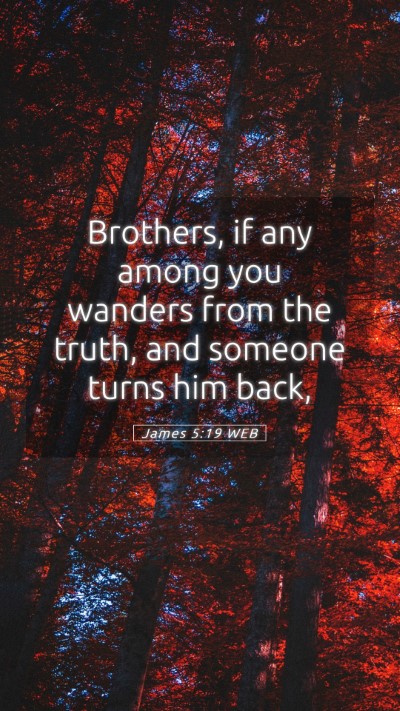 Picture 05 - James 5:19 WEB Mobile Phone Wallpaper - Brothers, if any among you wanders from the - Mobile Bible Verse Wallpaper