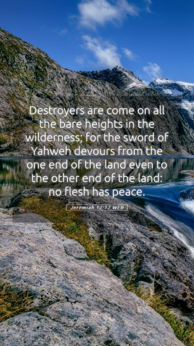 Picture 05 - Jeremiah 12:12 WEB Mobile Phone Wallpaper - Destroyers are come on all the bare heights in - Mobile Bible Verse Wallpaper