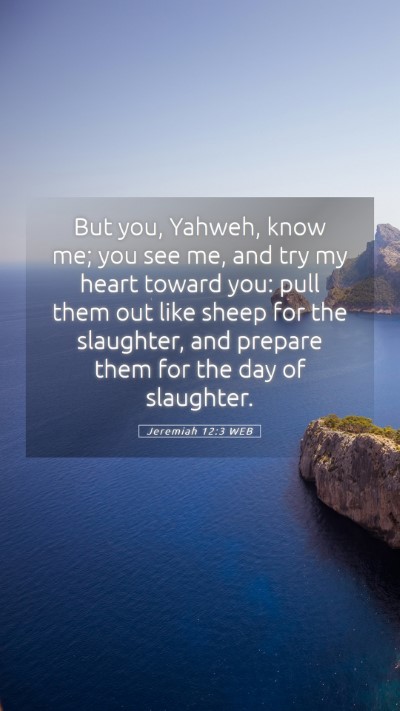 Picture 05 - Jeremiah 12:3 WEB Mobile Phone Wallpaper - But you, Yahweh, know me; you see me, and try my - Mobile Bible Verse Wallpaper