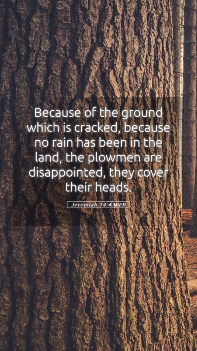Picture 05 - Jeremiah 14:4 WEB Mobile Phone Wallpaper - Because of the ground which is cracked, because - Mobile Bible Verse Wallpaper