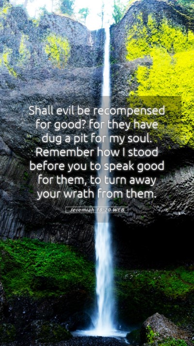 Picture 05 - Jeremiah 18:20 WEB Mobile Phone Wallpaper - Shall evil be recompensed for good? for they have - Mobile Bible Verse Wallpaper