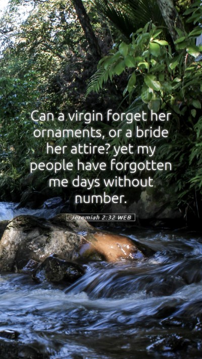 Picture 05 - Jeremiah 2:32 WEB Mobile Phone Wallpaper - Can a virgin forget her ornaments, or a bride her - Mobile Bible Verse Wallpaper