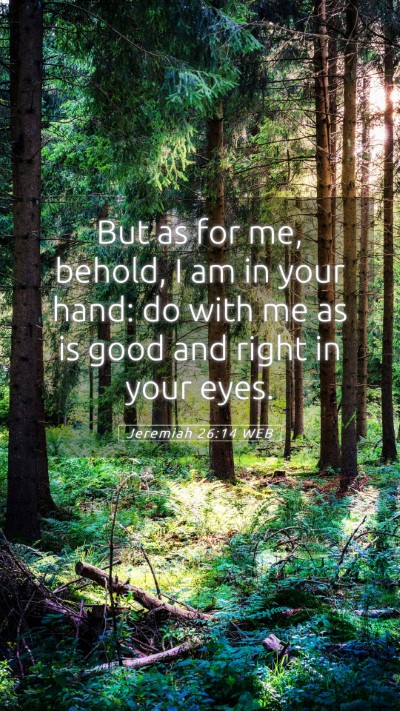 Picture 05 - Jeremiah 26:14 WEB Mobile Phone Wallpaper - But as for me, behold, I am in your hand: do with - Mobile Bible Verse Wallpaper