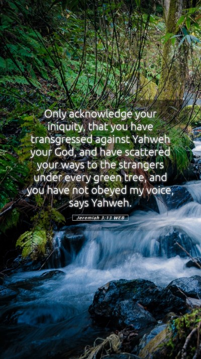 Picture 05 - Jeremiah 3:13 WEB Mobile Phone Wallpaper - Only acknowledge your iniquity, that you have - Mobile Bible Verse Wallpaper