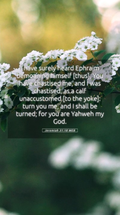 Picture 05 - Jeremiah 31:18 WEB Mobile Phone Wallpaper - I have surely heard Ephraim bemoaning himself - Mobile Bible Verse Wallpaper