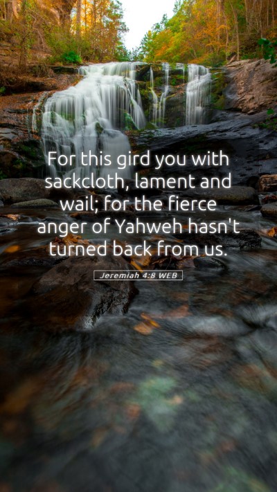 Picture 05 - Jeremiah 4:8 WEB Mobile Phone Wallpaper - For this gird you with sackcloth, lament and - Mobile Bible Verse Wallpaper