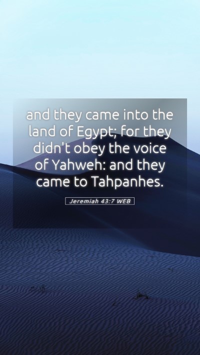 Picture 05 - Jeremiah 43:7 WEB Mobile Phone Wallpaper - and they came into the land of Egypt; for they - Mobile Bible Verse Wallpaper