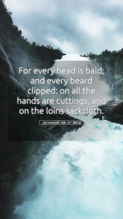Picture 05 - Jeremiah 48:37 WEB Mobile Phone Wallpaper - For every head is bald, and every beard clipped: - Mobile Bible Verse Wallpaper