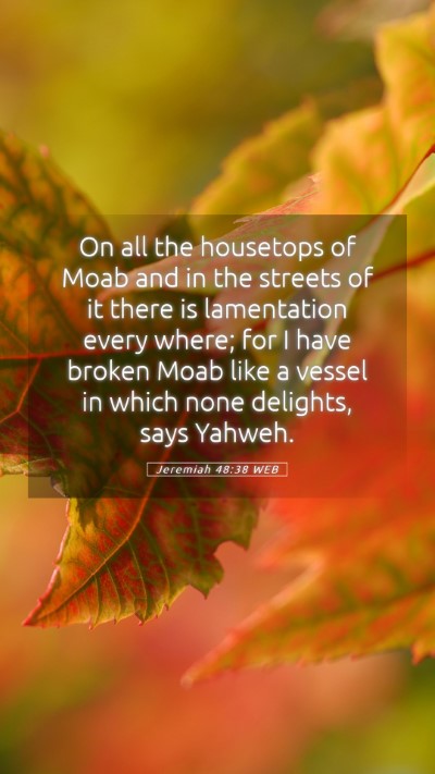 Picture 05 - Jeremiah 48:38 WEB Mobile Phone Wallpaper - On all the housetops of Moab and in the streets - Mobile Bible Verse Wallpaper