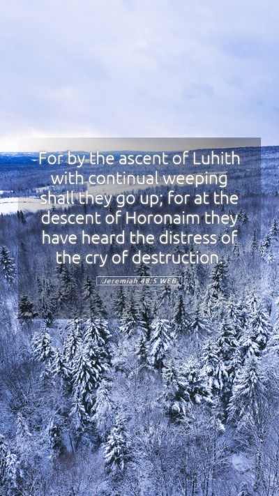 Picture 05 - Jeremiah 48:5 WEB Mobile Phone Wallpaper - For by the ascent of Luhith with continual - Mobile Bible Verse Wallpaper
