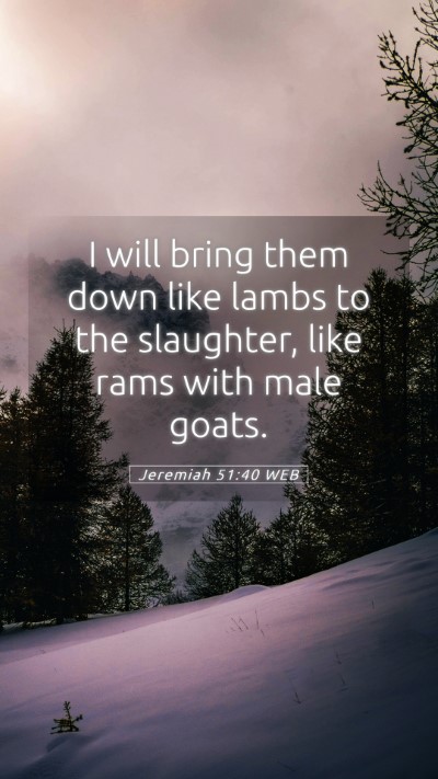 Picture 05 - Jeremiah 51:40 WEB Mobile Phone Wallpaper - I will bring them down like lambs to the - Mobile Bible Verse Wallpaper