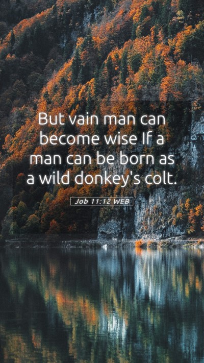 Picture 05 - Job 11:12 WEB Mobile Phone Wallpaper - But vain man can become wise If a man can be born - Mobile Bible Verse Wallpaper