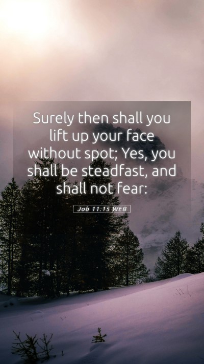 Picture 05 - Job 11:15 WEB Mobile Phone Wallpaper - Surely then shall you lift up your face without - Mobile Bible Verse Wallpaper