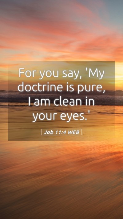 Picture 05 - Job 11:4 WEB Mobile Phone Wallpaper - For you say, 'My doctrine is pure, I am clean in - Mobile Bible Verse Wallpaper