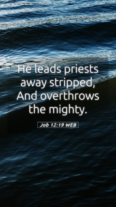 Picture 05 - Job 12:19 WEB Mobile Phone Wallpaper - He leads priests away stripped, And overthrows - Mobile Bible Verse Wallpaper