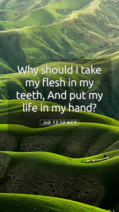 Picture 05 - Job 13:14 WEB Mobile Phone Wallpaper - Why should I take my flesh in my teeth, And put - Mobile Bible Verse Wallpaper
