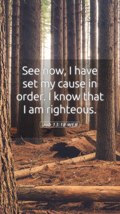 Picture 05 - Job 13:18 WEB Mobile Phone Wallpaper - See now, I have set my cause in order. I know - Mobile Bible Verse Wallpaper