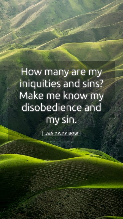 Picture 05 - Job 13:23 WEB Mobile Phone Wallpaper - How many are my iniquities and sins? Make me know - Mobile Bible Verse Wallpaper
