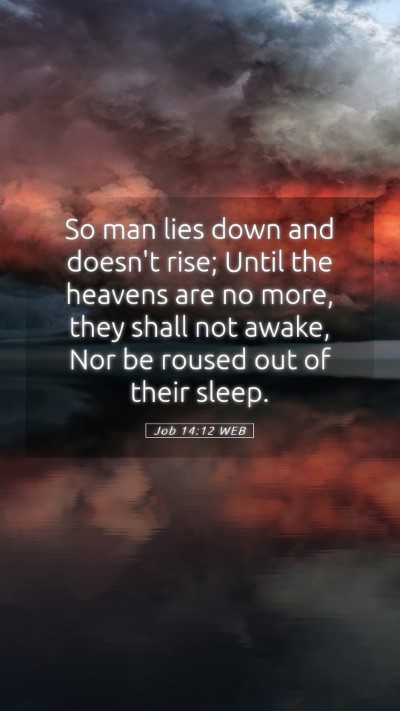 Picture 05 - Job 14:12 WEB Mobile Phone Wallpaper - So man lies down and doesn't rise; Until the - Mobile Bible Verse Wallpaper