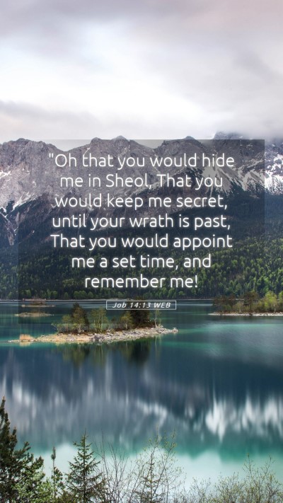 Picture 05 - Job 14:13 WEB Mobile Phone Wallpaper - 