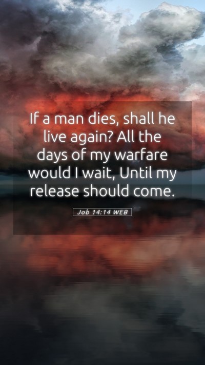 Picture 05 - Job 14:14 WEB Mobile Phone Wallpaper - If a man dies, shall he live again? All the days - Mobile Bible Verse Wallpaper