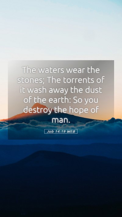 Picture 05 - Job 14:19 WEB Mobile Phone Wallpaper - The waters wear the stones; The torrents of it - Mobile Bible Verse Wallpaper