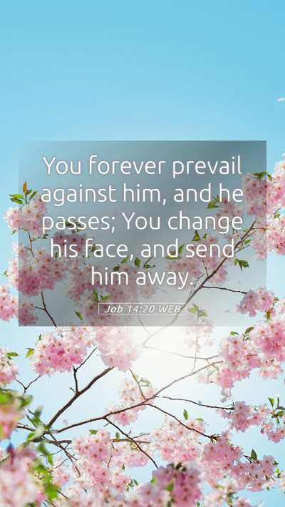 Picture 05 - Job 14:20 WEB Mobile Phone Wallpaper - You forever prevail against him, and he passes; - Mobile Bible Verse Wallpaper
