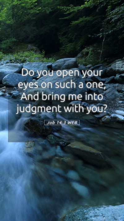 Picture 05 - Job 14:3 WEB Mobile Phone Wallpaper - Do you open your eyes on such a one, And bring me - Mobile Bible Verse Wallpaper