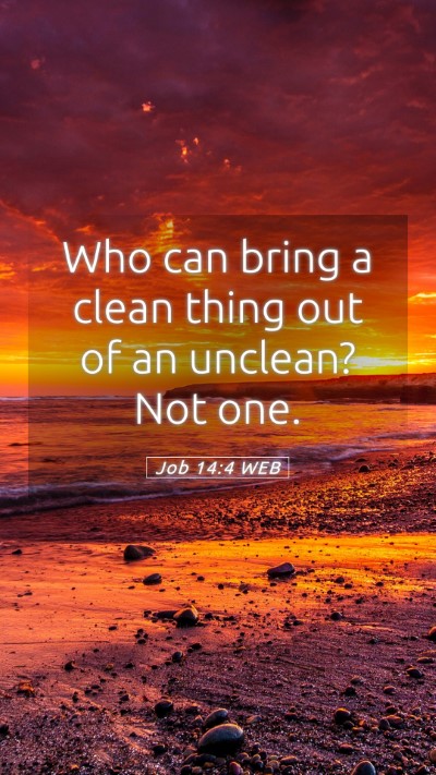 Picture 05 - Job 14:4 WEB Mobile Phone Wallpaper - Who can bring a clean thing out of an unclean? - Mobile Bible Verse Wallpaper