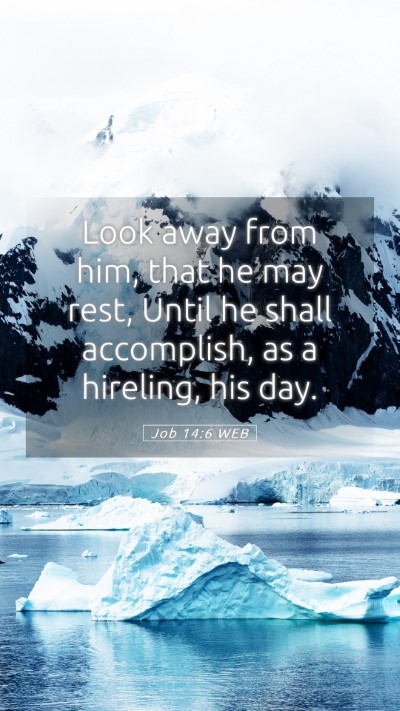 Picture 05 - Job 14:6 WEB Mobile Phone Wallpaper - Look away from him, that he may rest, Until he - Mobile Bible Verse Wallpaper