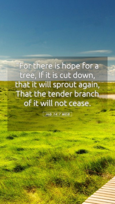 Picture 05 - Job 14:7 WEB Mobile Phone Wallpaper - 