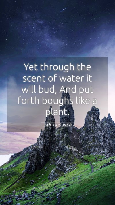 Picture 05 - Job 14:9 WEB Mobile Phone Wallpaper - Yet through the scent of water it will bud, And - Mobile Bible Verse Wallpaper