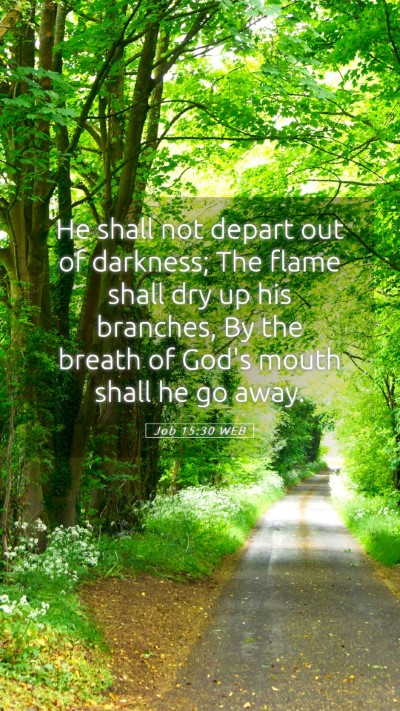 Picture 05 - Job 15:30 WEB Mobile Phone Wallpaper - He shall not depart out of darkness; The flame - Mobile Bible Verse Wallpaper