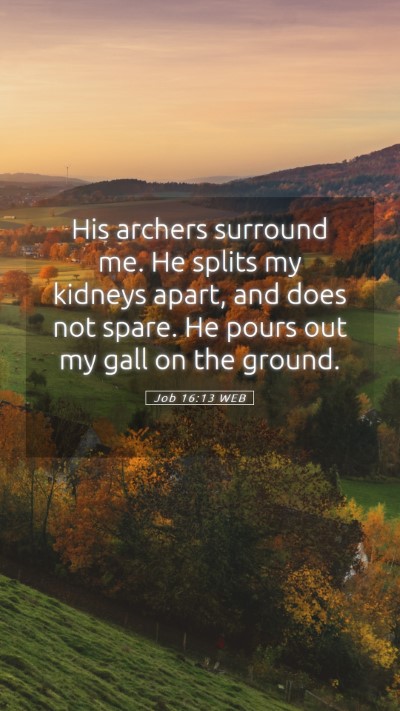 Picture 05 - Job 16:13 WEB Mobile Phone Wallpaper - His archers surround me. He splits my kidneys - Mobile Bible Verse Wallpaper