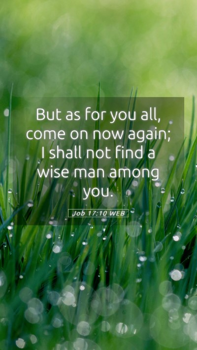 Picture 05 - Job 17:10 WEB Mobile Phone Wallpaper - But as for you all, come on now again; I shall - Mobile Bible Verse Wallpaper