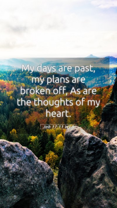 Picture 05 - Job 17:11 WEB Mobile Phone Wallpaper - My days are past, my plans are broken off, As are - Mobile Bible Verse Wallpaper