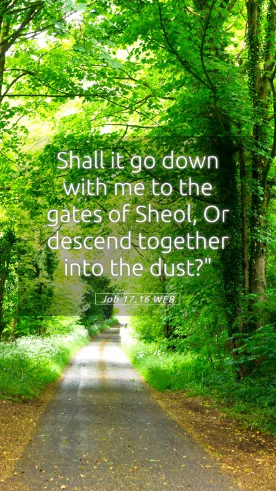 Picture 05 - Job 17:16 WEB Mobile Phone Wallpaper - Shall it go down with me to the gates of Sheol, - Mobile Bible Verse Wallpaper