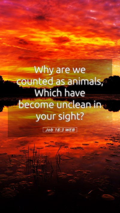 Picture 05 - Job 18:3 WEB Mobile Phone Wallpaper - Why are we counted as animals, Which have become - Mobile Bible Verse Wallpaper