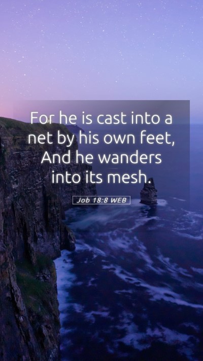 Picture 05 - Job 18:8 WEB Mobile Phone Wallpaper - For he is cast into a net by his own feet, And he - Mobile Bible Verse Wallpaper