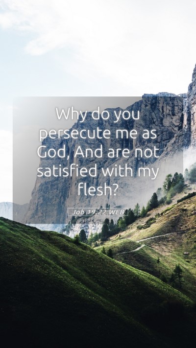 Picture 05 - Job 19:22 WEB Mobile Phone Wallpaper - Why do you persecute me as God, And are not - Mobile Bible Verse Wallpaper
