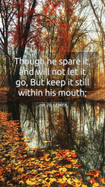 Picture 05 - Job 20:13 WEB Mobile Phone Wallpaper - Though he spare it, and will not let it go, But - Mobile Bible Verse Wallpaper