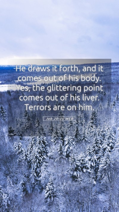 Picture 05 - Job 20:25 WEB Mobile Phone Wallpaper - He draws it forth, and it comes out of his body. - Mobile Bible Verse Wallpaper