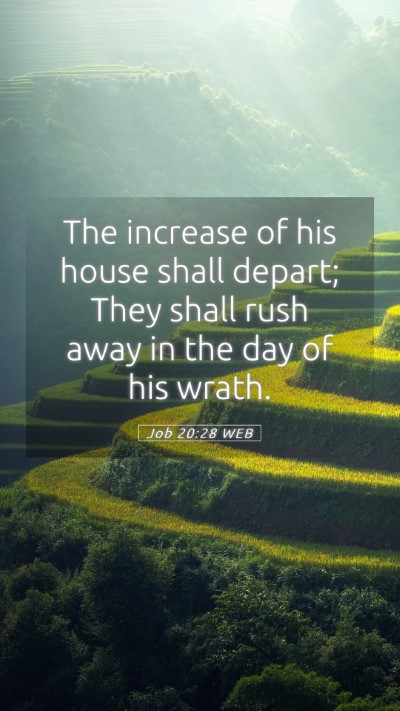 Picture 05 - Job 20:28 WEB Mobile Phone Wallpaper - The increase of his house shall depart; They - Mobile Bible Verse Wallpaper