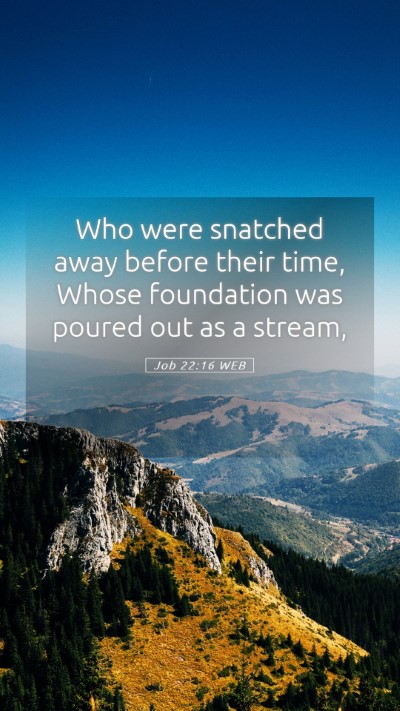 Picture 05 - Job 22:16 WEB Mobile Phone Wallpaper - Who were snatched away before their time, Whose - Mobile Bible Verse Wallpaper