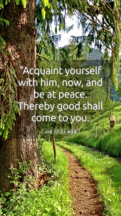 Picture 05 - Job 22:21 WEB Mobile Phone Wallpaper - 